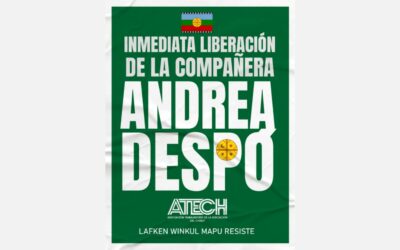 Desalojo en Villa Mascardi: UN DEBATE que URGE