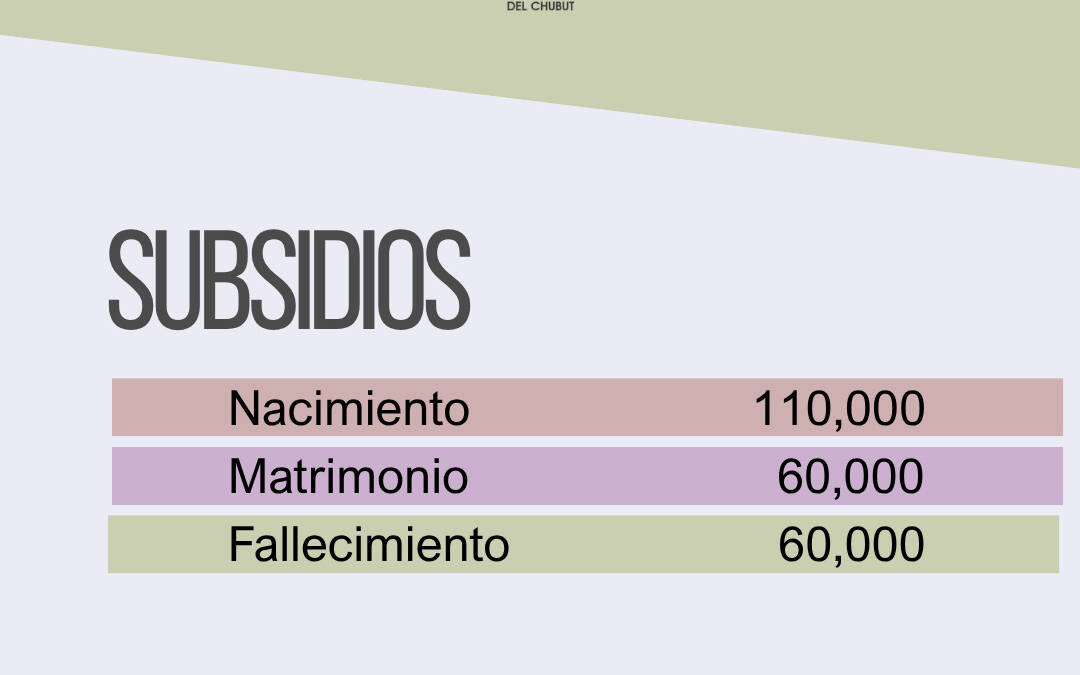 Actualización de subsidios 2025